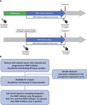 RAD51 as an immunohistochemistry-based marker of poly(ADP-ribose) polymerase inhibitor resistance in ovarian cancer